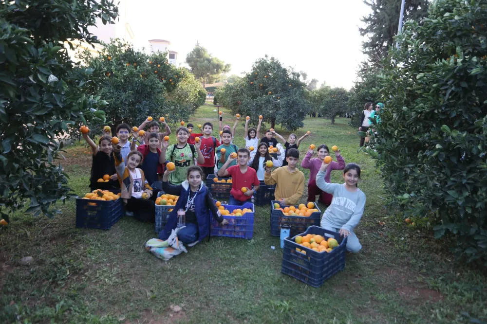KEPEZ BELEDİYESİ DOKUMAPARK’TAN TOPLANAN PORTAKALLARI İLÇE HALKIYLA PAYLAŞTI