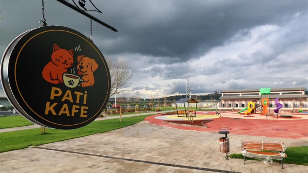 DÜNYA STANDARTLARINDA.. SAKARYA