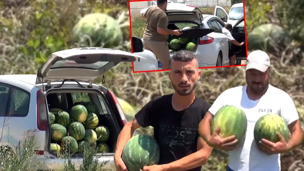 ANTALYA MANAVGAT.. KİLOSU 3 LİRAYA SATMADI 100 TON KARPUZU ÜCRETSİZ DAĞITTI