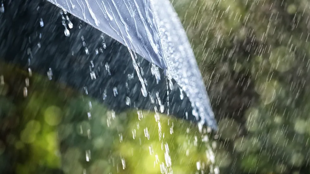 METEOROLOJİ