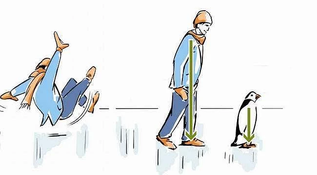 KARDA VE BUZDA NASIL YÜRÜNÜR.. AKUT BAŞKANI ANLATIYOR