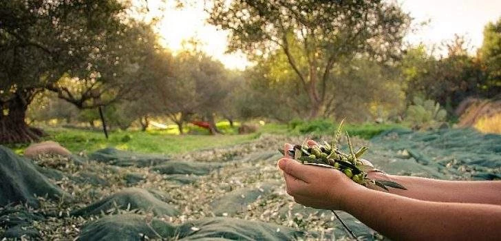 EGE TÜRKİYE’DE TARIM İHRACATININ ZİRVESİNDE