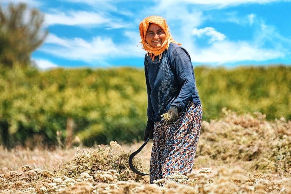 KADIN ÇİFTÇİLER İÇİN HİBE VE DESTEKLER DEVAM EDİYOR
