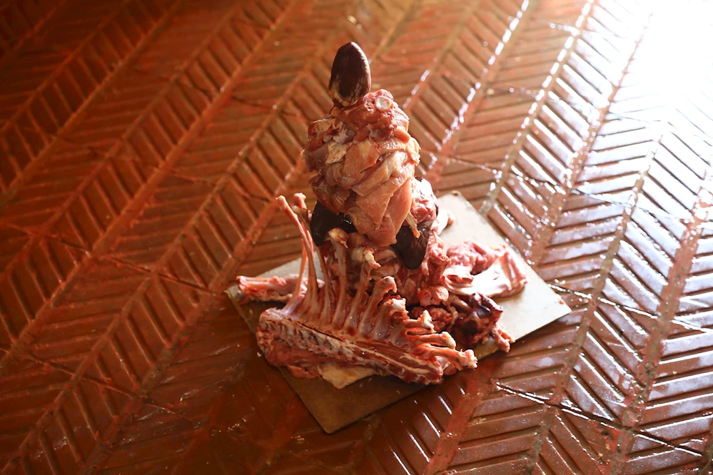 KAPLANA ÖZEL PASTA